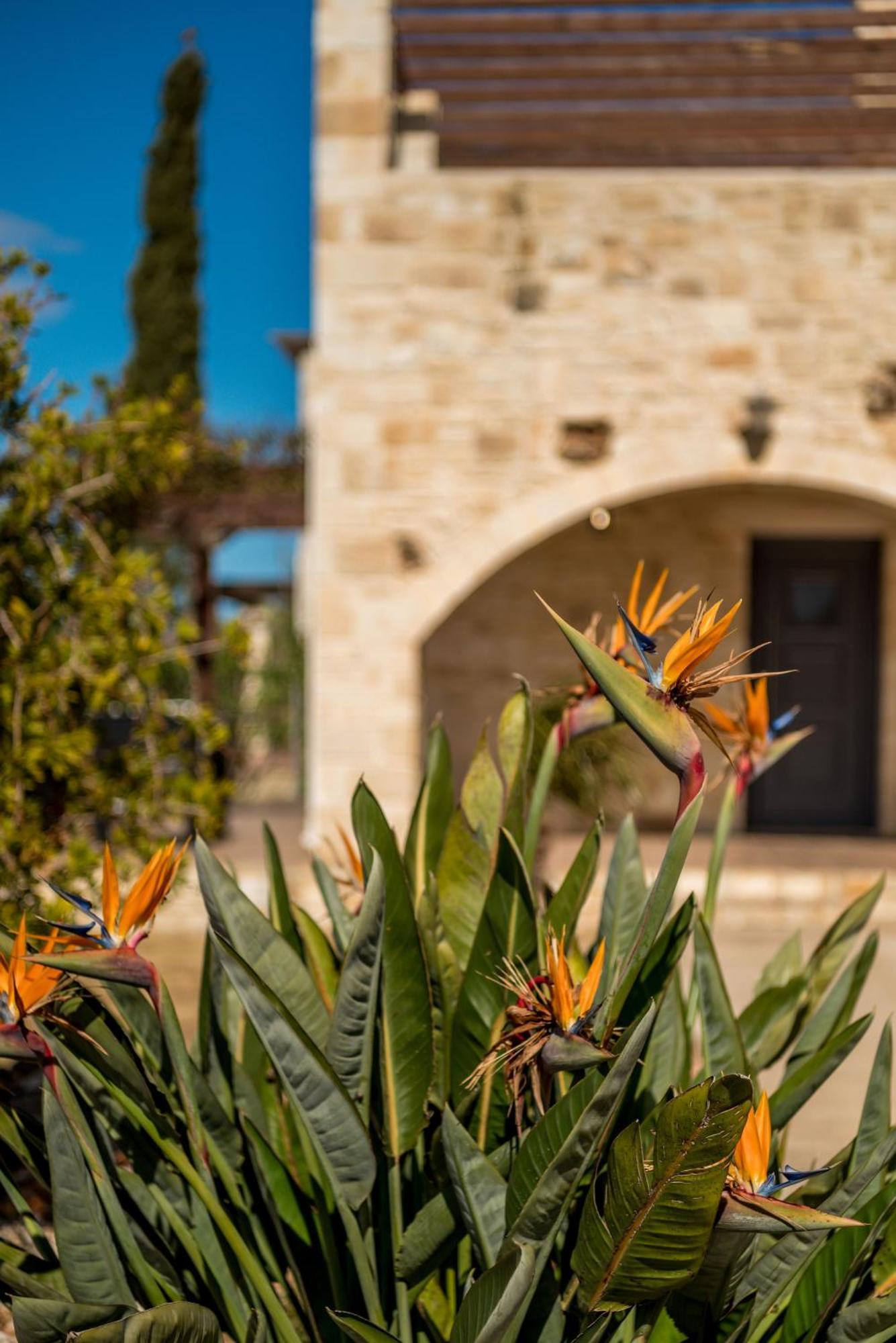 Villa Gloria Seaview - Luxury & Family Kokkino Chorio ภายนอก รูปภาพ